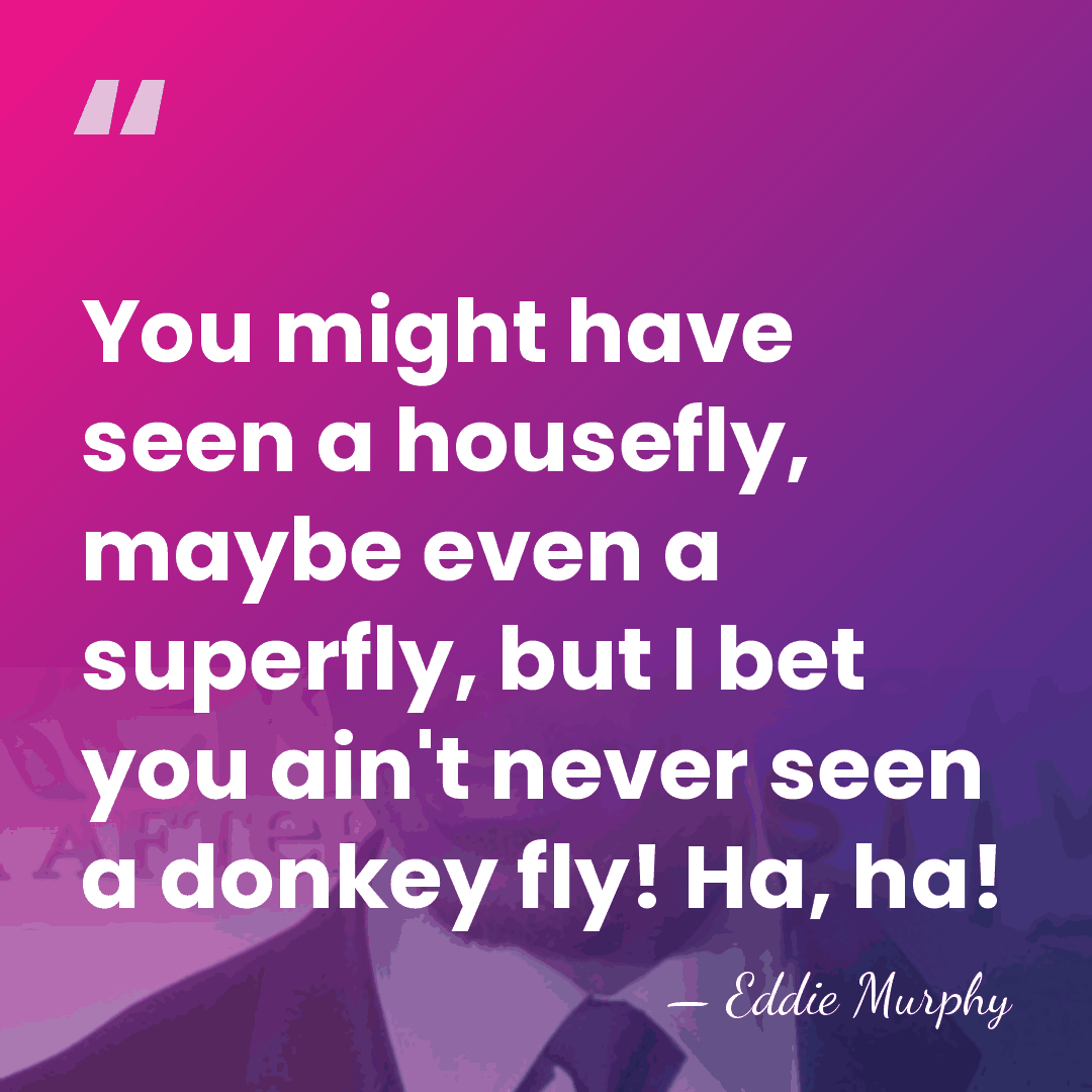 You might have seen a housefly, maybe even a superfly, but I&hellip; - Eddie Murphy