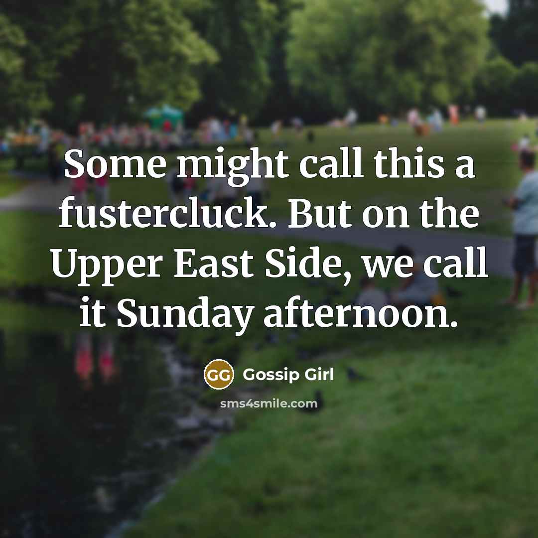 “Some might call this a fustercluck. But on the Upper…” quote by Gossip Girl