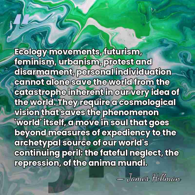 Ecology movements, futurism, feminism, urbanism, protest and disarmament, personal individuation cannot alone&hellip; - James Hillman