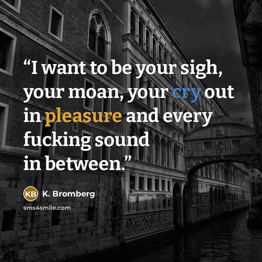 “I want to be your sigh, your moan, your cry out in pleasure and every fucking sound in between.” quote by K. Bromberg