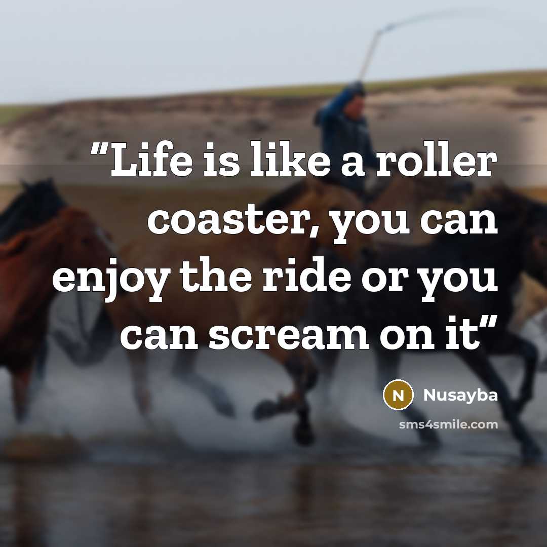 “Life is like a roller coaster, you can enjoy the ride or you can scream on it” quote by Nusayba
