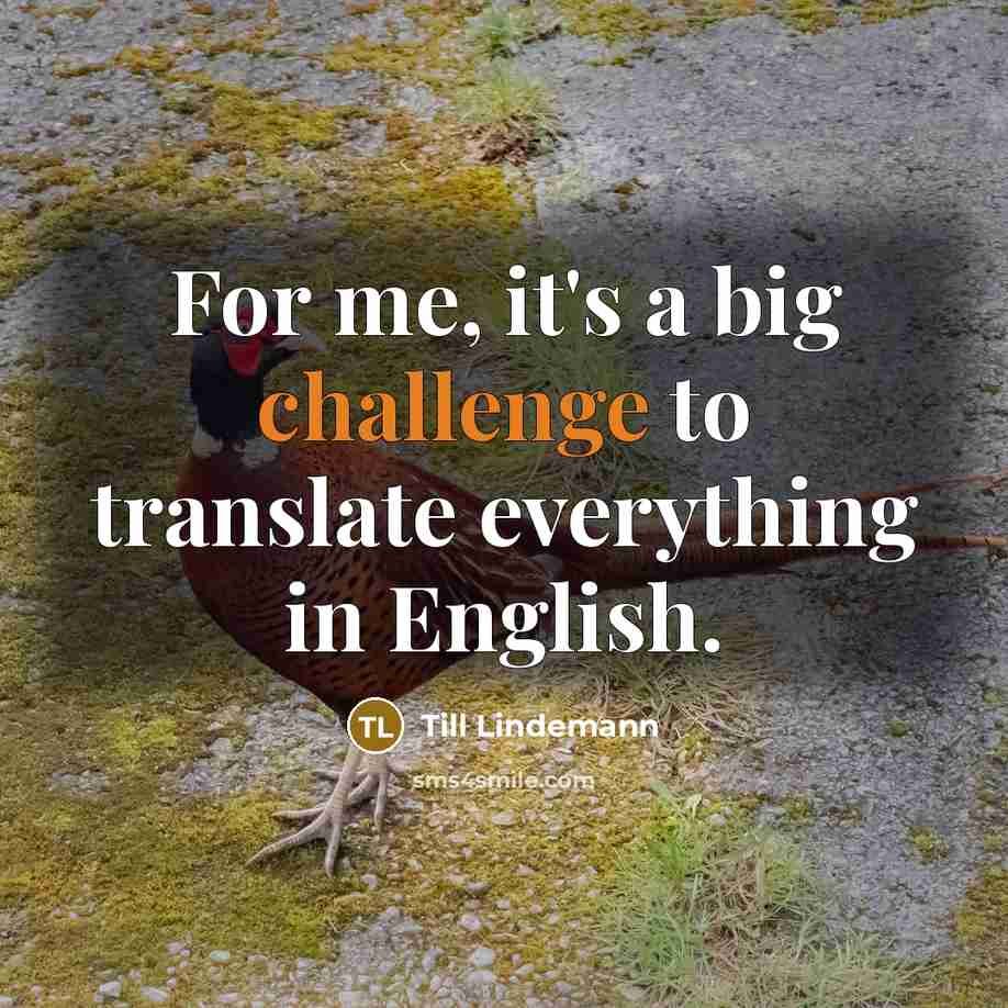 “For me, it's a big challenge to translate everything in…” quote by Till Lindemann