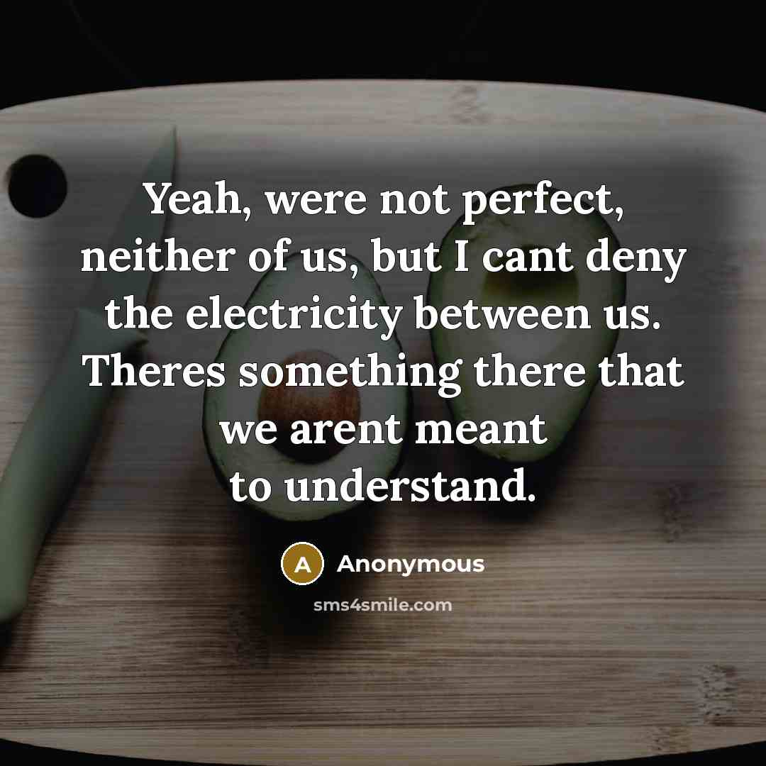 “Yeah, were not perfect, neither of us, but I cant deny the electricity between us. Theres something there that we arent meant to understand.” quote by Anonymous