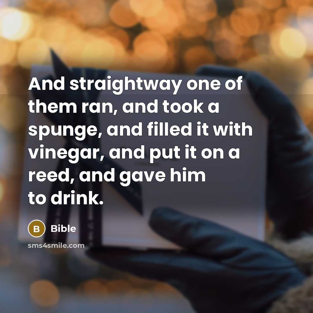 “And straightway one of them ran, and took a spunge,…” quote by Bible