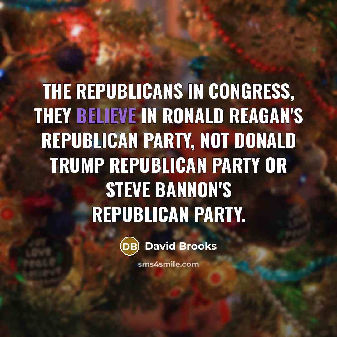 “The Republicans in Congress, they believe in Ronald Reagan's Republican…” quote by David Brooks
