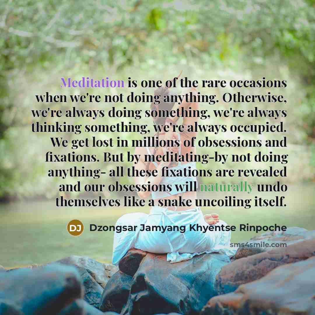 “Meditation is one of the rare occasions when we're not…” quote by Dzongsar Jamyang Khyentse Rinpoche