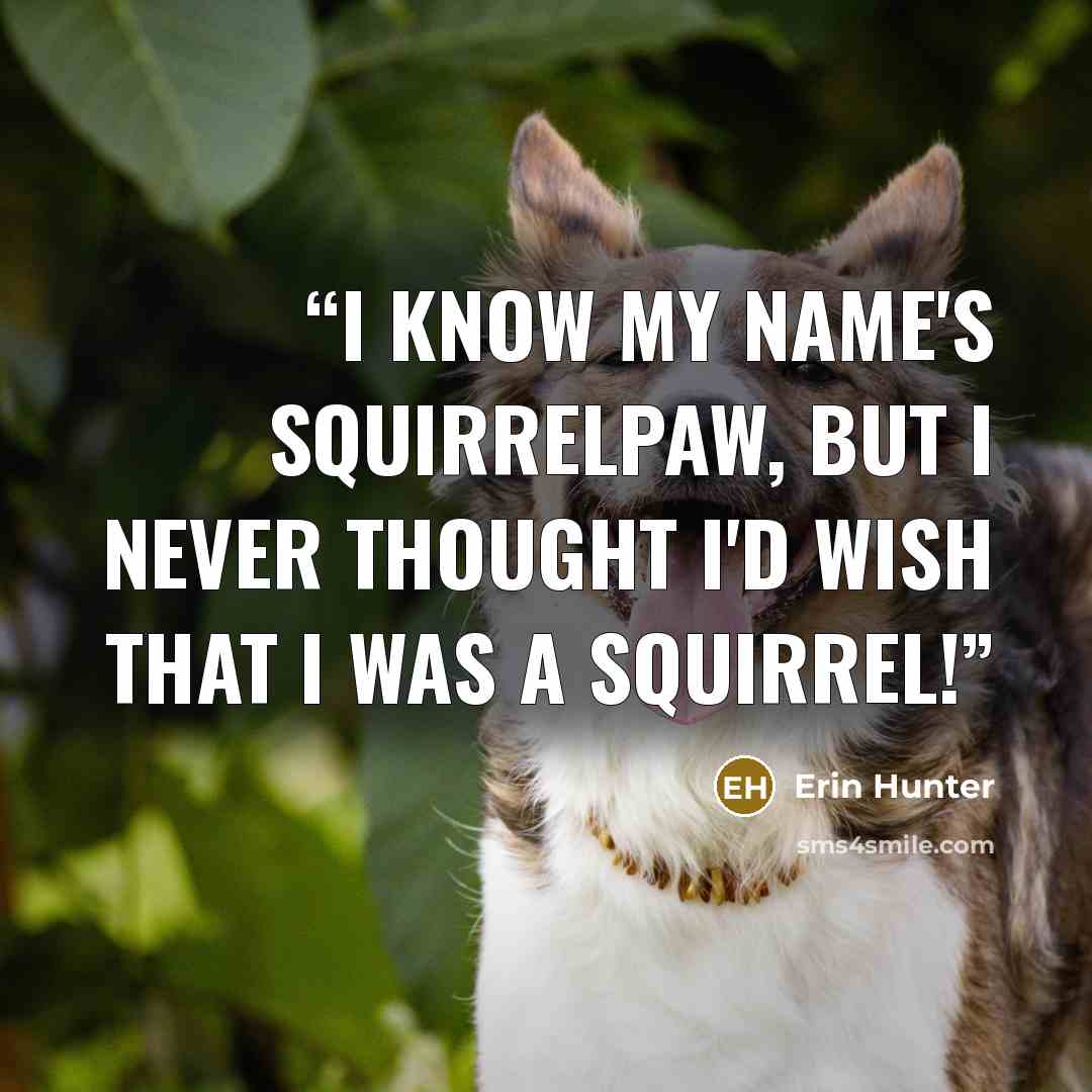 “I know my name's Squirrelpaw, but I never thought I'd wish that I WAS a squirrel!” quote by Erin Hunter