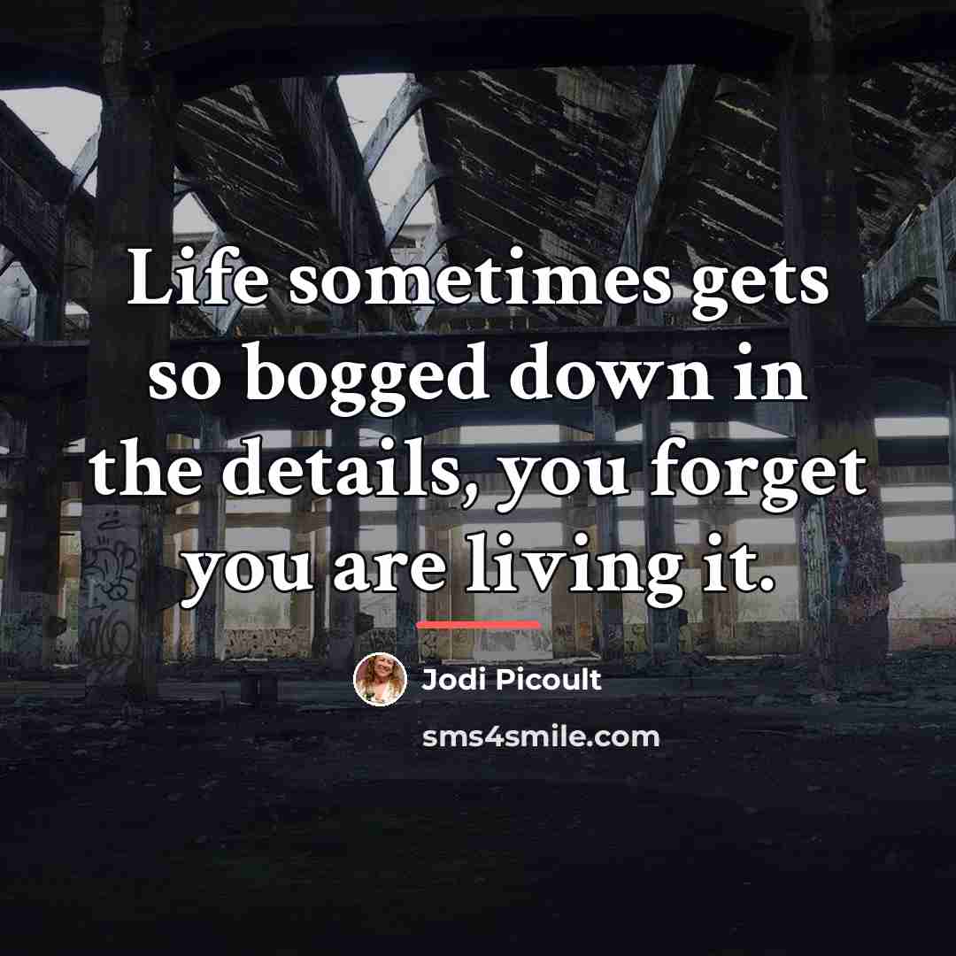 “Life sometimes gets so bogged down in the details, you…” quote by Jodi Picoult