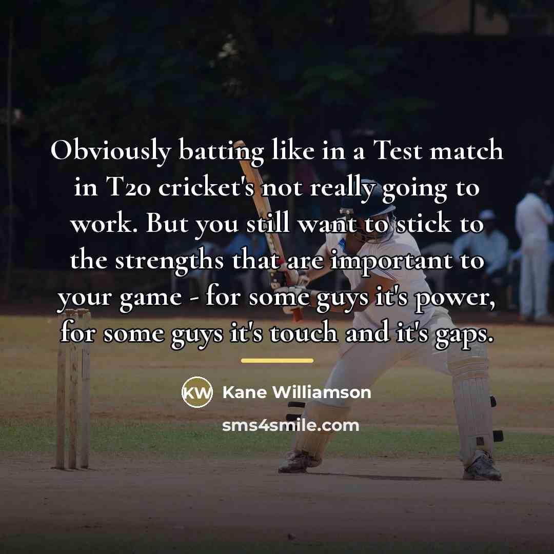 “Obviously batting like in a Test match in T20 cricket's…” quote by Kane Williamson