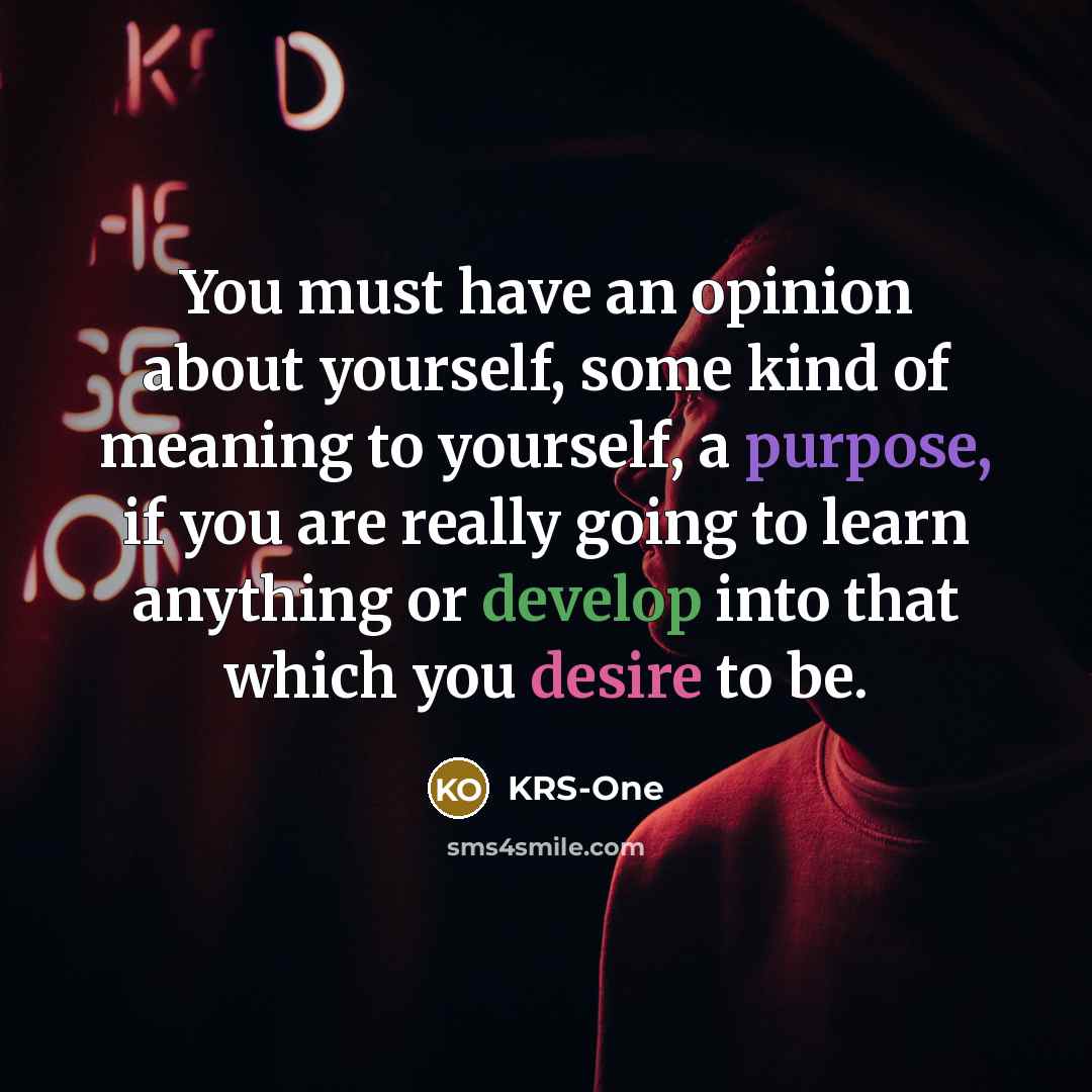 “You must have an opinion about yourself, some kind of…” quote by KRS-One