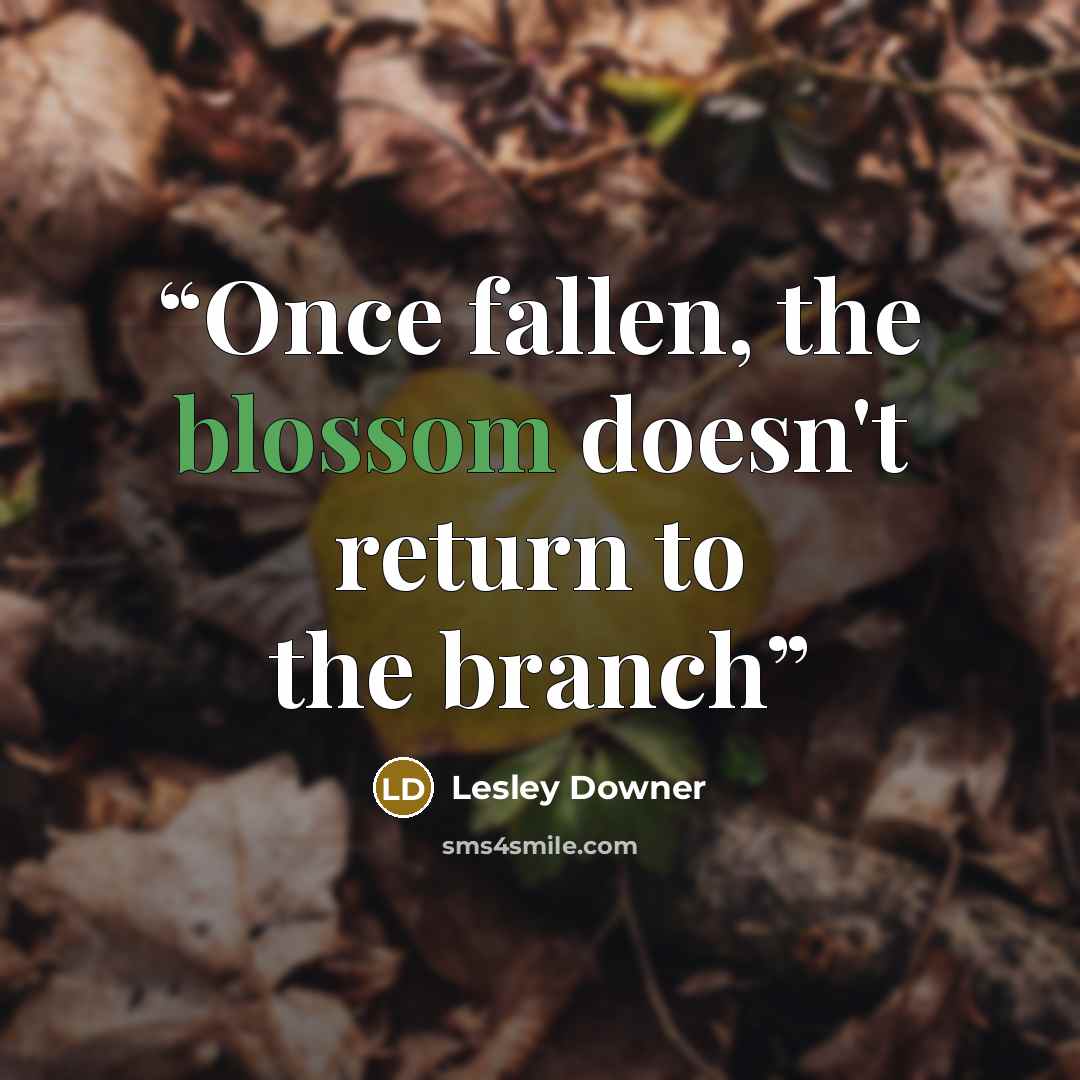 “Once fallen, the blossom doesn't return to the branch” quote by Lesley Downer