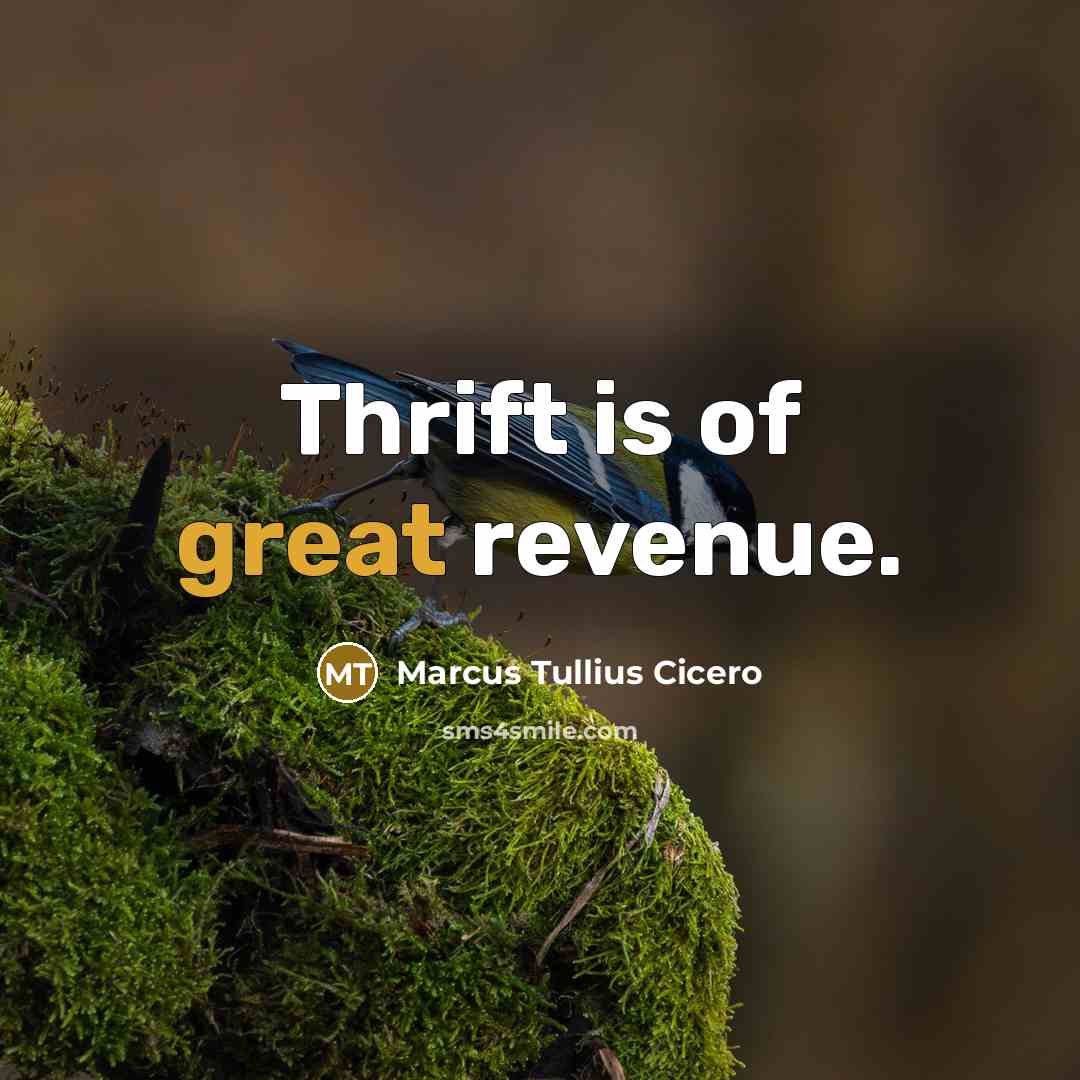 “Thrift is of great revenue.…” quote by Marcus Tullius Cicero