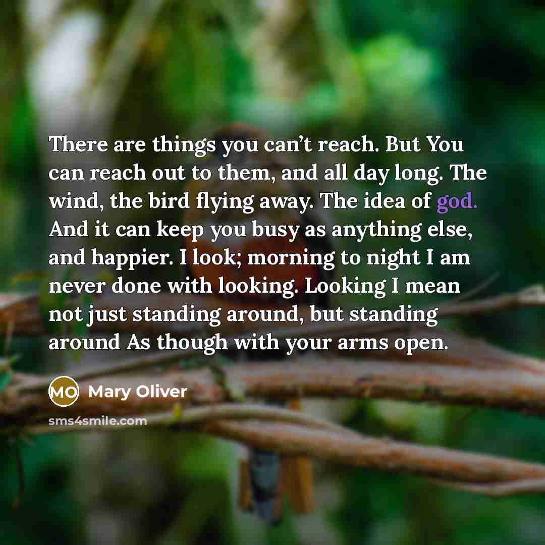 “There are things you can’t reach. But You can reach…” quote by Mary Oliver