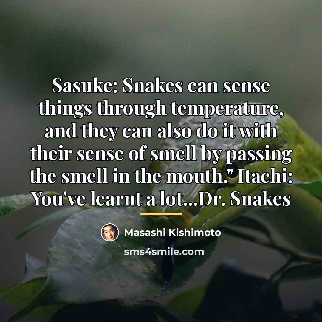“Sasuke: Snakes can sense things through temperature, and they can…” quote by Masashi Kishimoto
