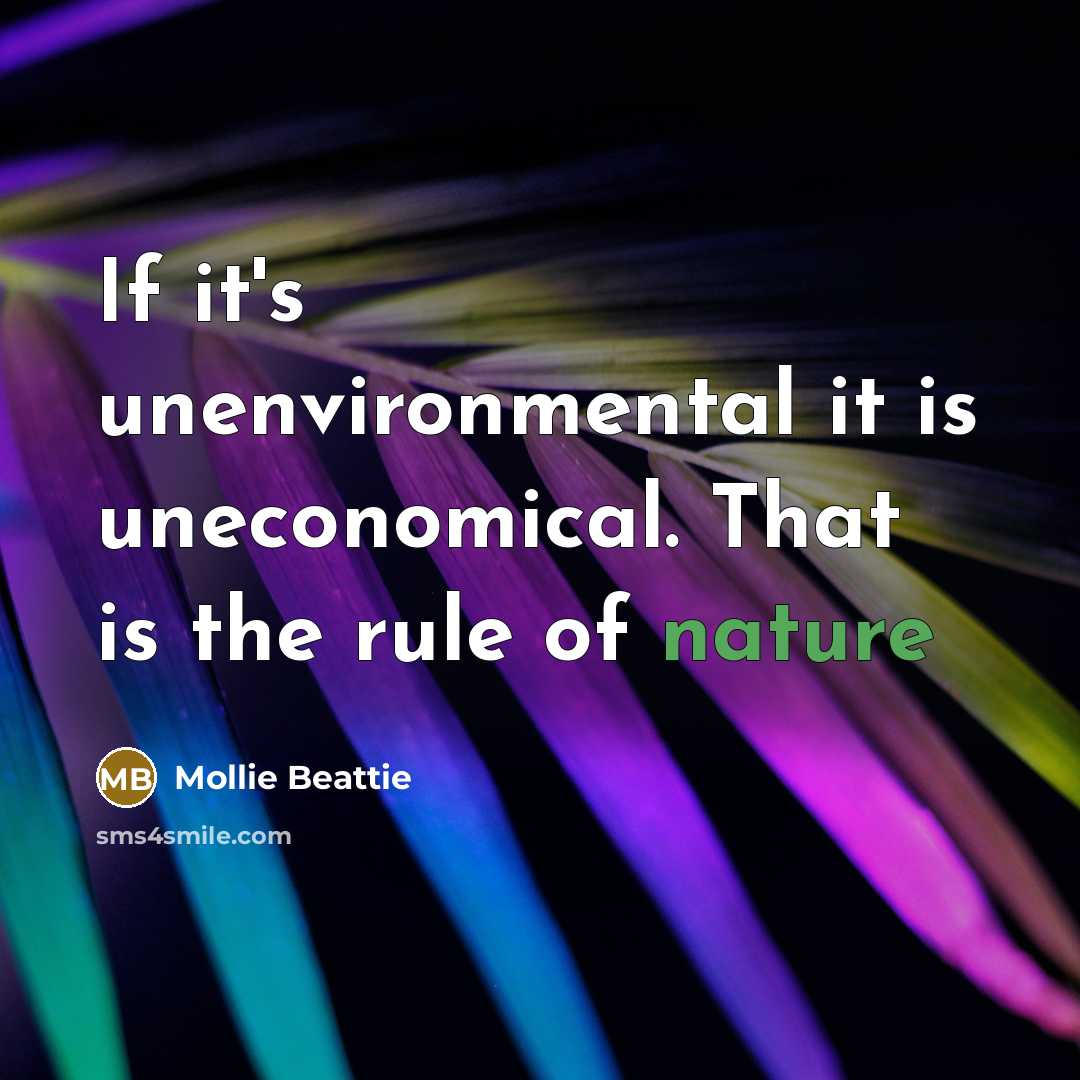 “If it's unenvironmental it is uneconomical. That is the rule…” quote by Mollie Beattie
