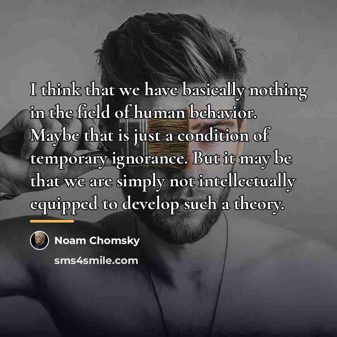“I think that we have basically nothing in the field…” quote by Noam Chomsky