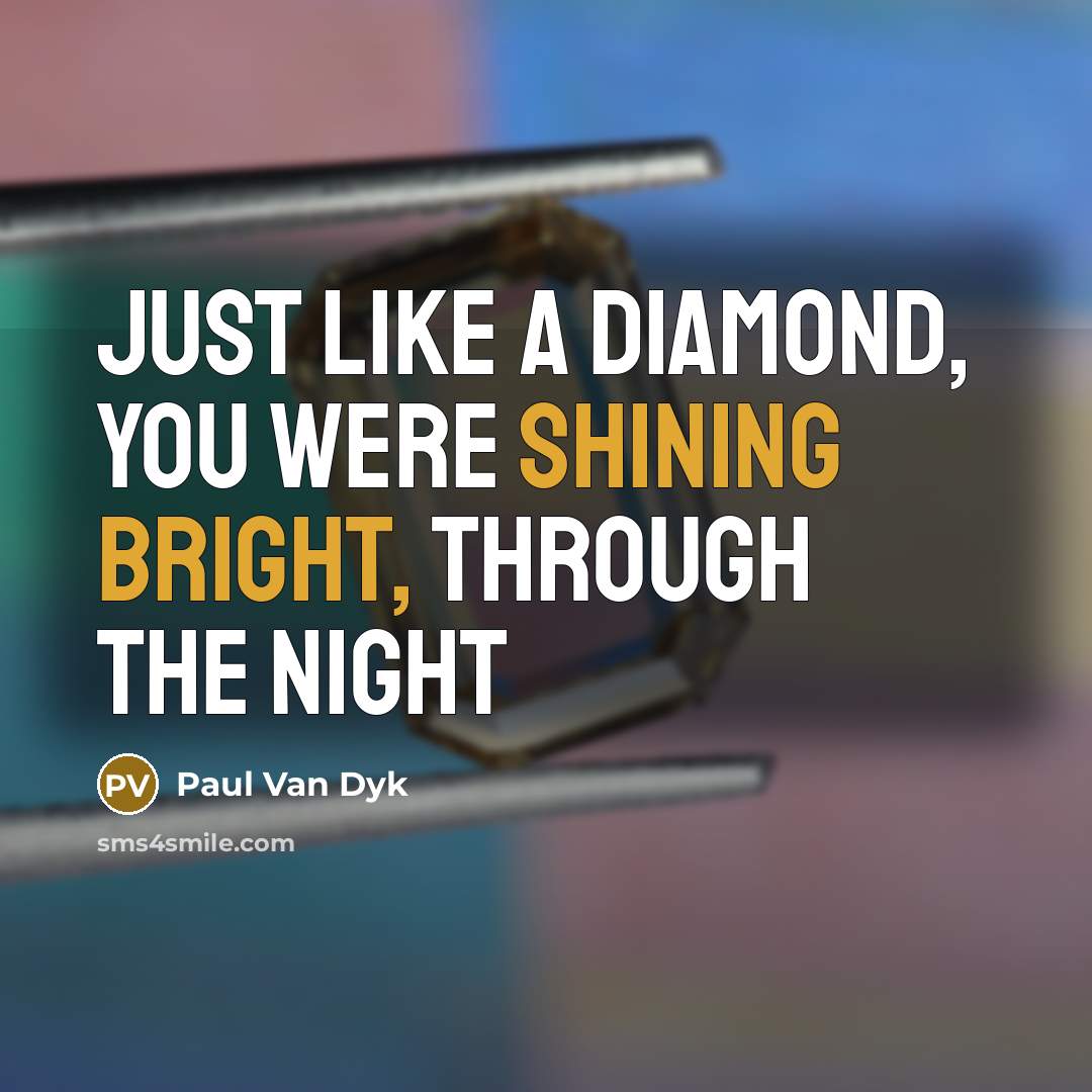 “Just like a diamond, you were shining bright, through the night” quote by Paul Van Dyk