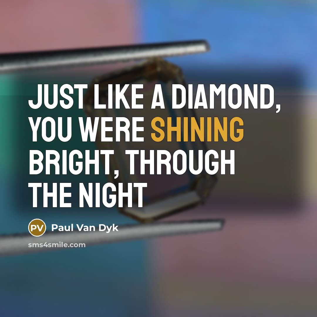 “Just like a diamond, you were shining bright, through the night” quote by Paul Van Dyk