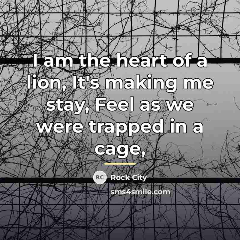 “I am the heart of a lion, It's making me…” quote by Rock City