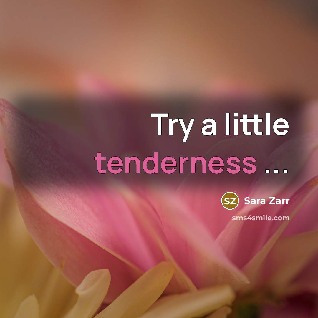 “Try a little tenderness ...…” quote by Sara Zarr