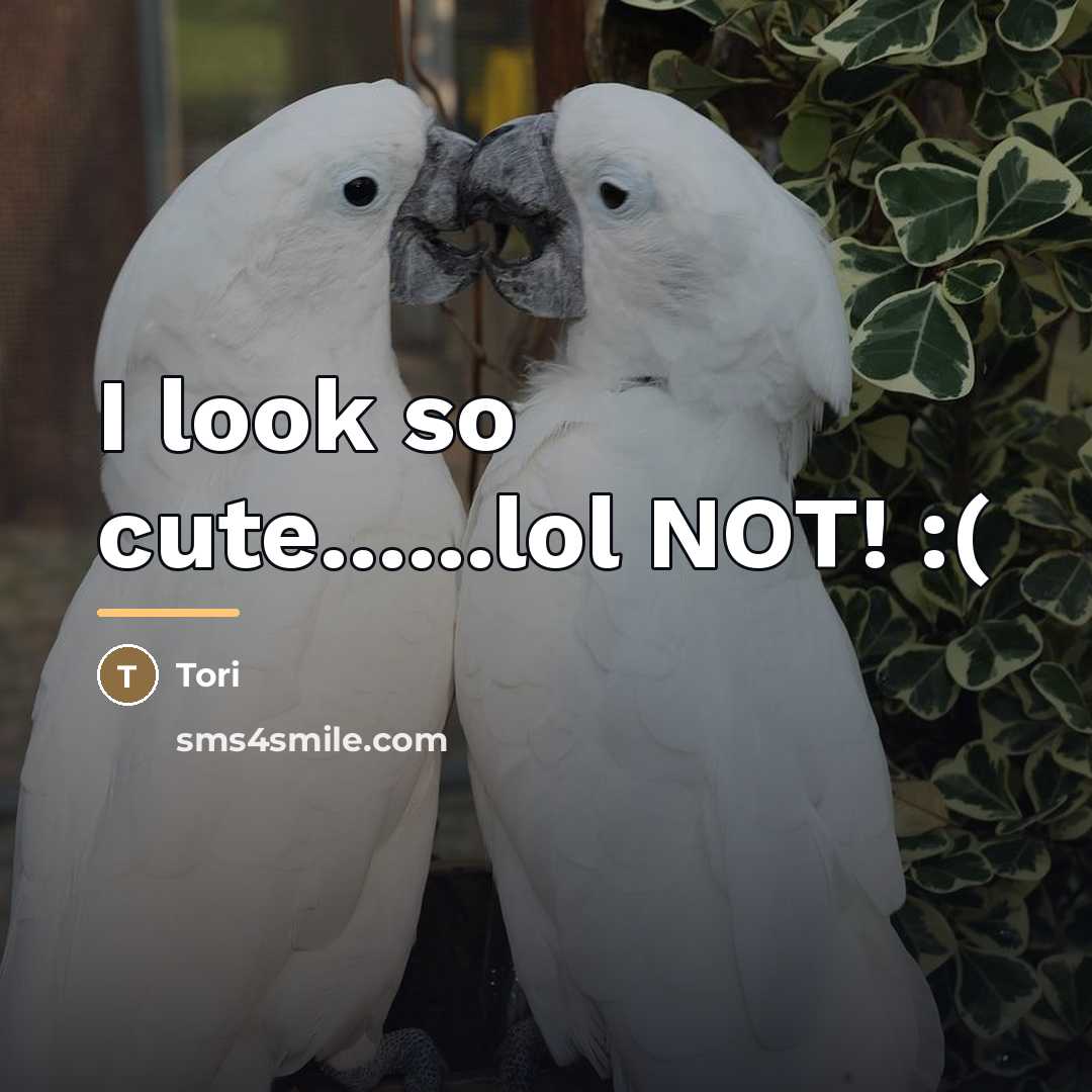 “I look so cute......lol NOT! :(…” quote by Tori
