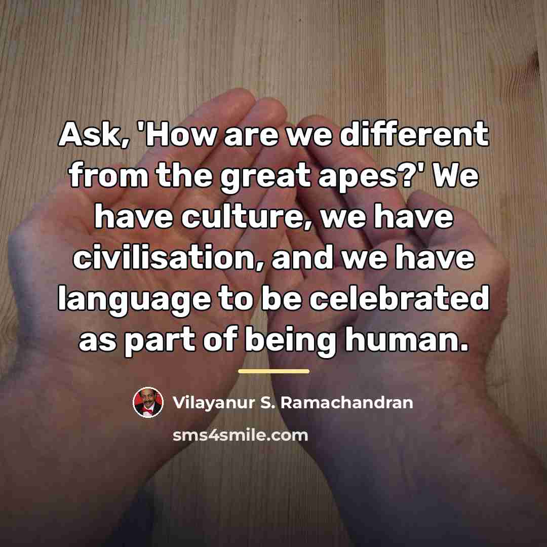 “Ask, 'How are we different from the great apes?' We…” quote by Vilayanur S. Ramachandran