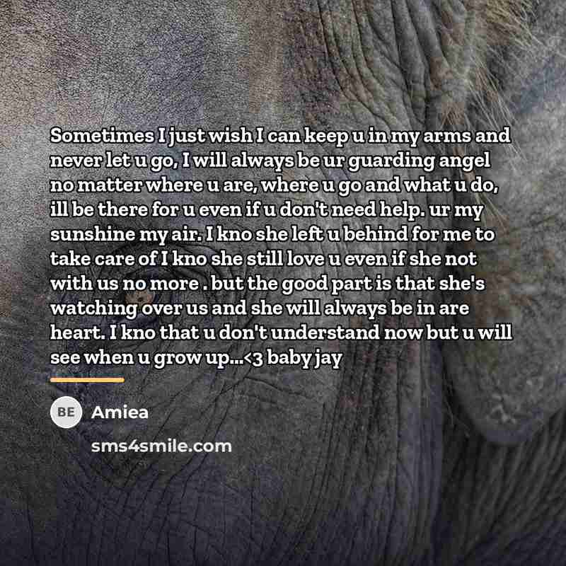 “Sometimes I just wish I can keep u in my…” quote by Amiea