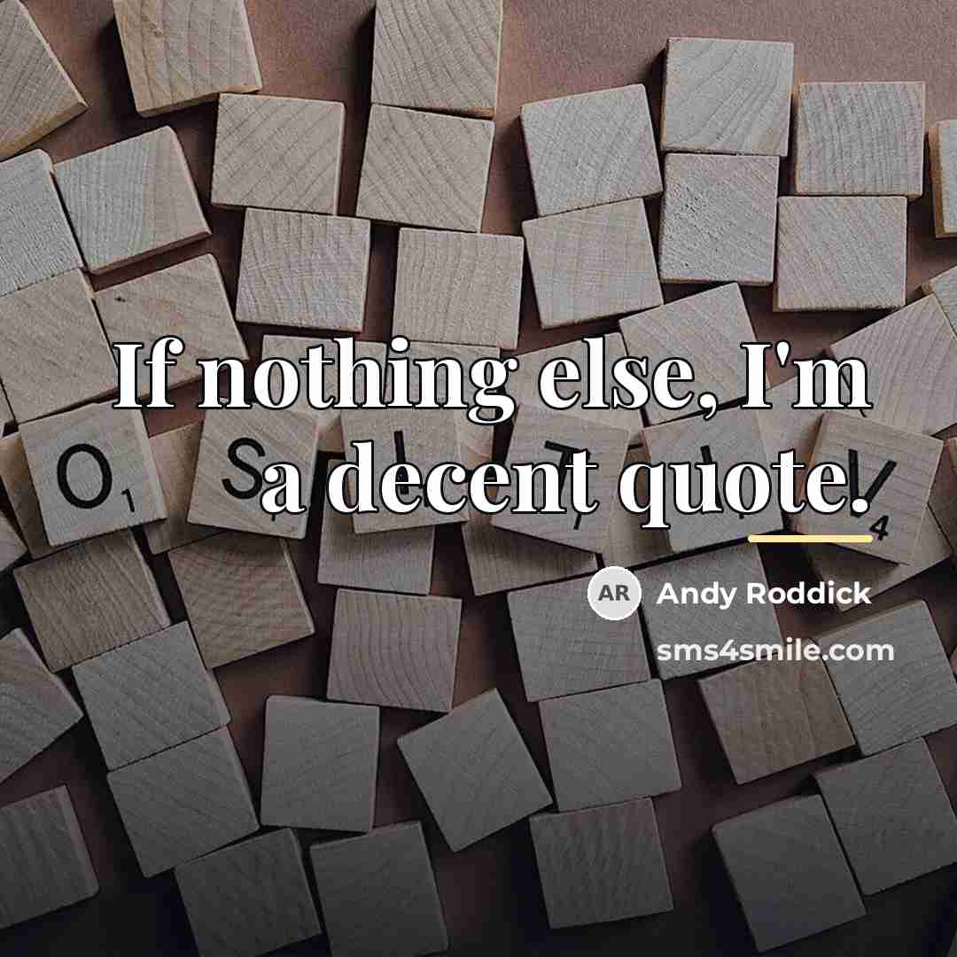 “If nothing else, I'm a decent quote.…” quote by Andy Roddick