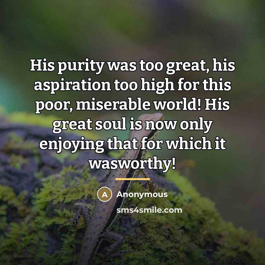 “His purity was too great, his aspiration too high for…” quote by Anonymous