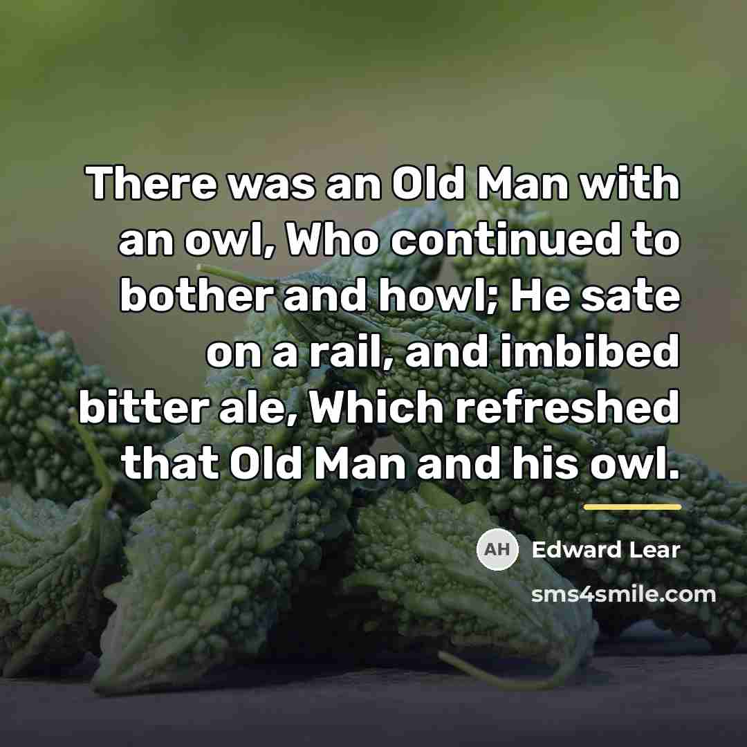 “There was an Old Man with an owl, Who continued…” quote by Edward Lear