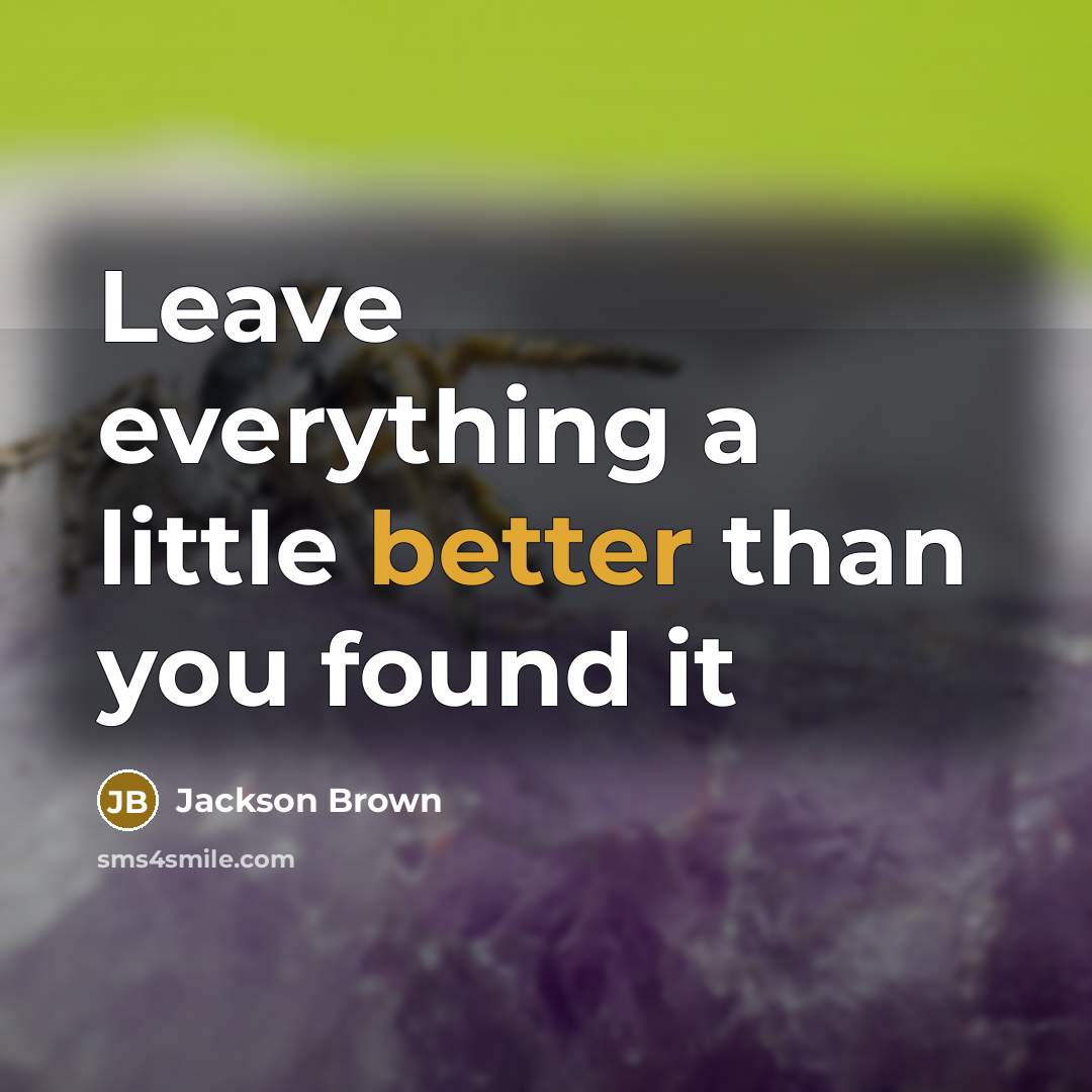 “Leave everything a little better than you found it” quote by Jackson Brown