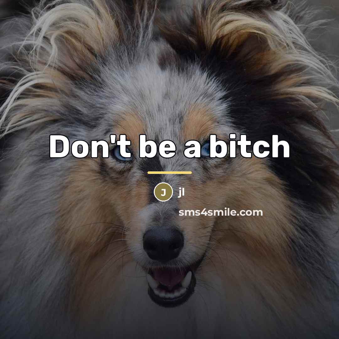 “Don't be a bitch…” quote by Jl