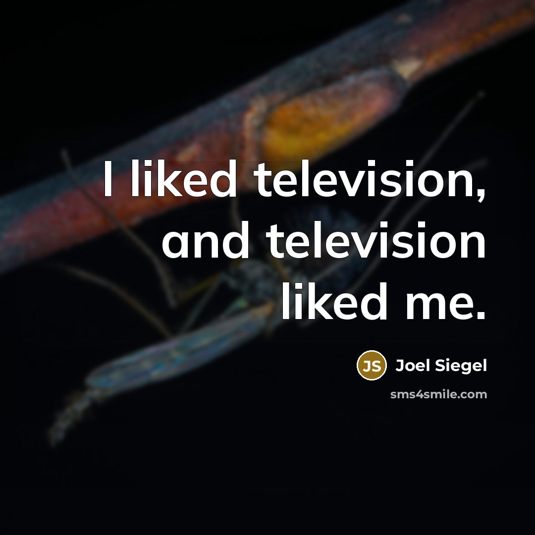 “I liked television, and television liked me.…” quote by Joel Siegel