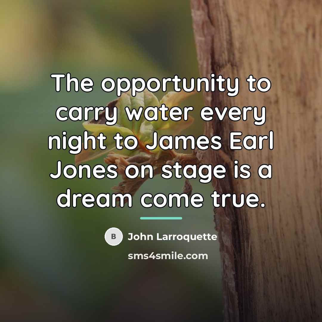 “The opportunity to carry water every night to James Earl…” quote by John Larroquette