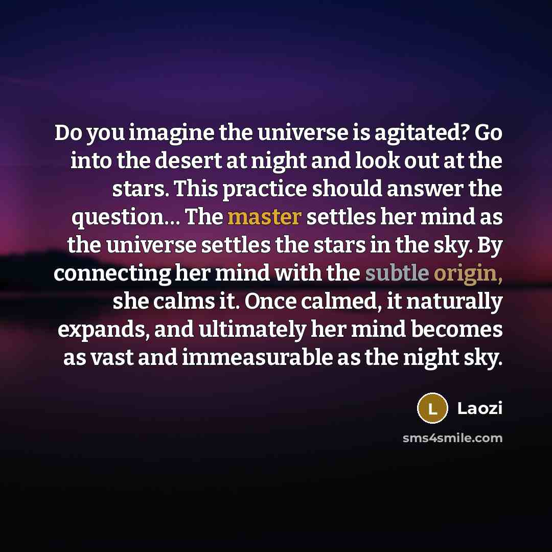 “Do you imagine the universe is agitated? Go into the…” quote by Laozi