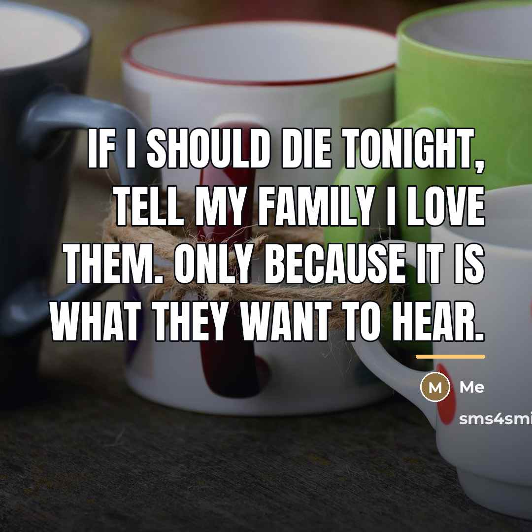 “If I should die tonight, tell my family I love…” quote by Me