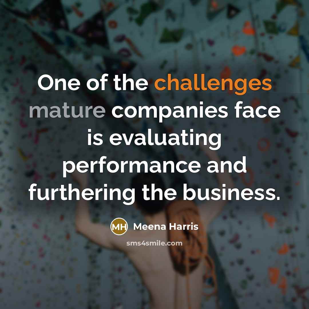 “One of the challenges mature companies face is evaluating performance…” quote by Meena Harris
