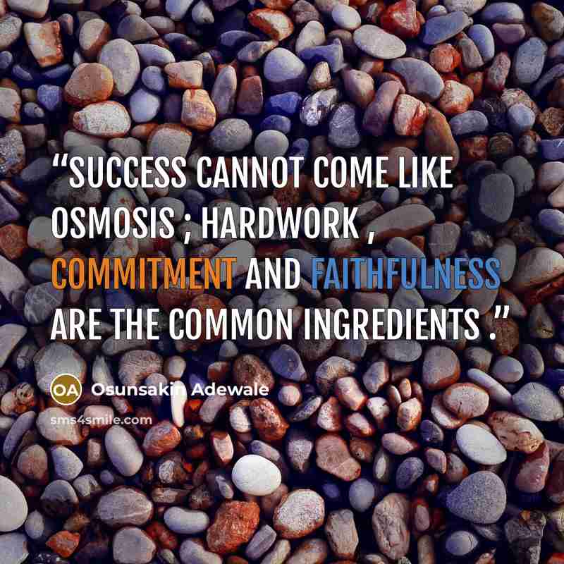 “Success cannot come like osmosis ; hardwork , commitment and faithfulness are the common ingredients .” quote by Osunsakin Adewale