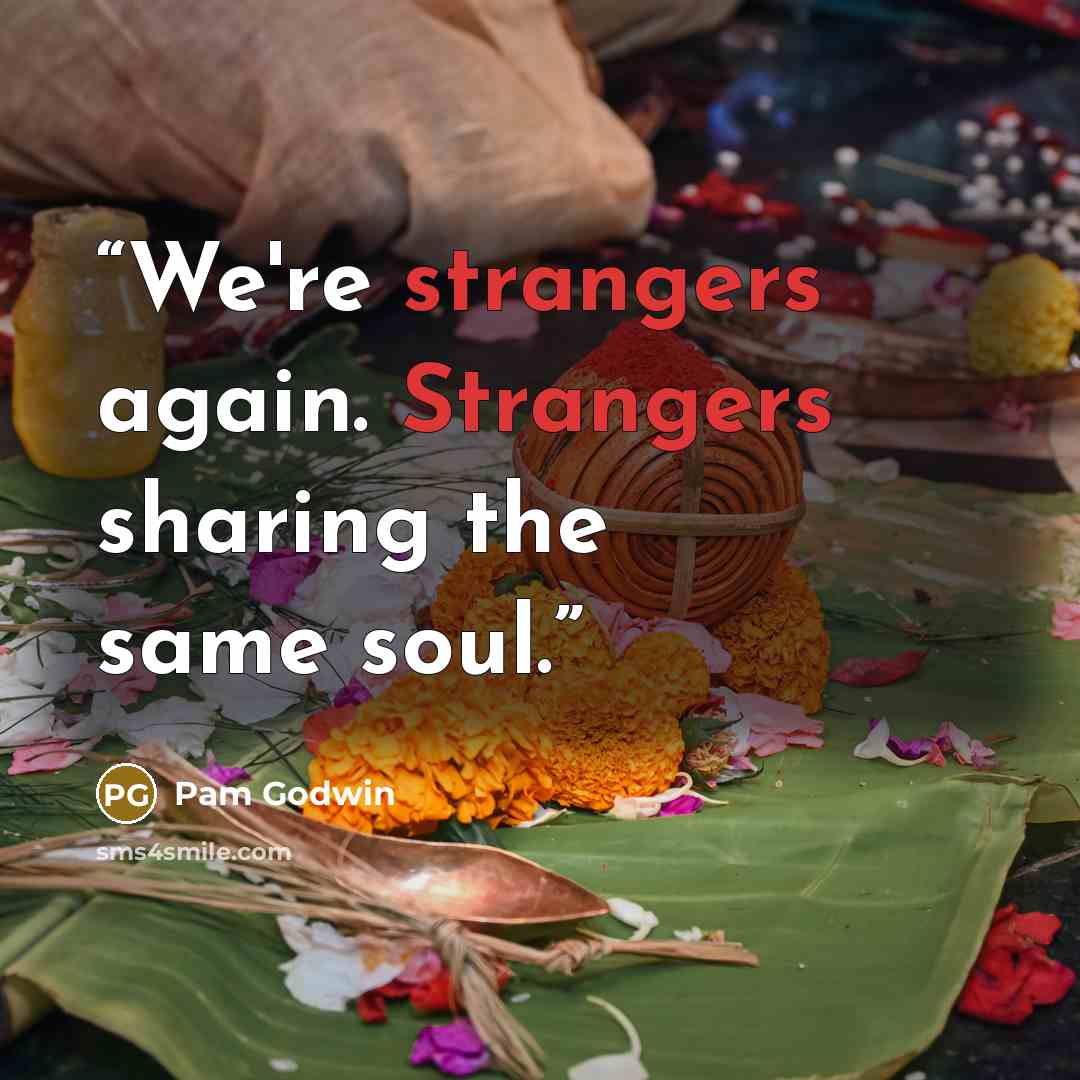 “We're strangers again. Strangers sharing the same soul.” quote by Pam Godwin