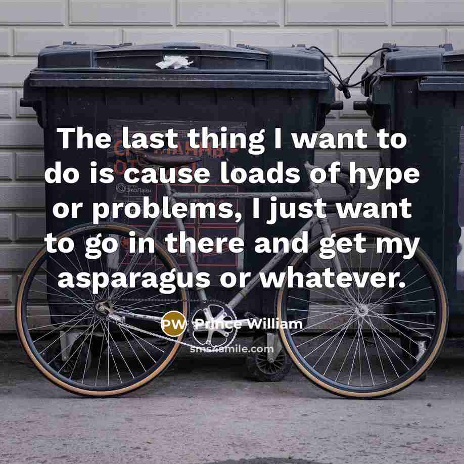 “The last thing I want to do is cause loads…” quote by Prince William