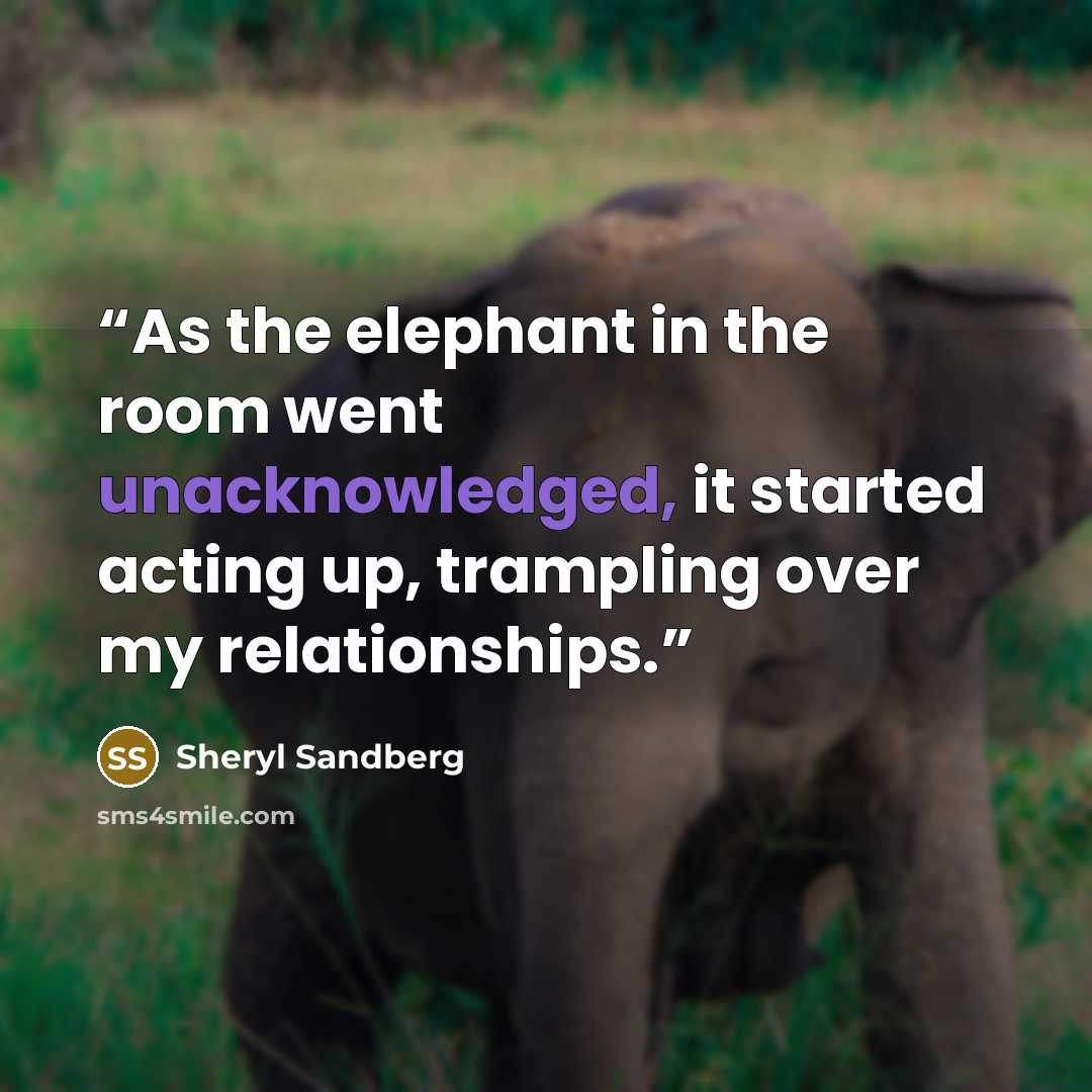 “As the elephant in the room went unacknowledged, it started acting up, trampling over my relationships.” quote by Sheryl Sandberg