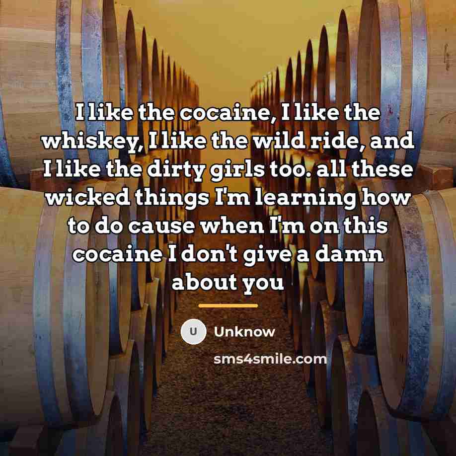 “I like the cocaine, I like the whiskey, I like…” quote by Unknow