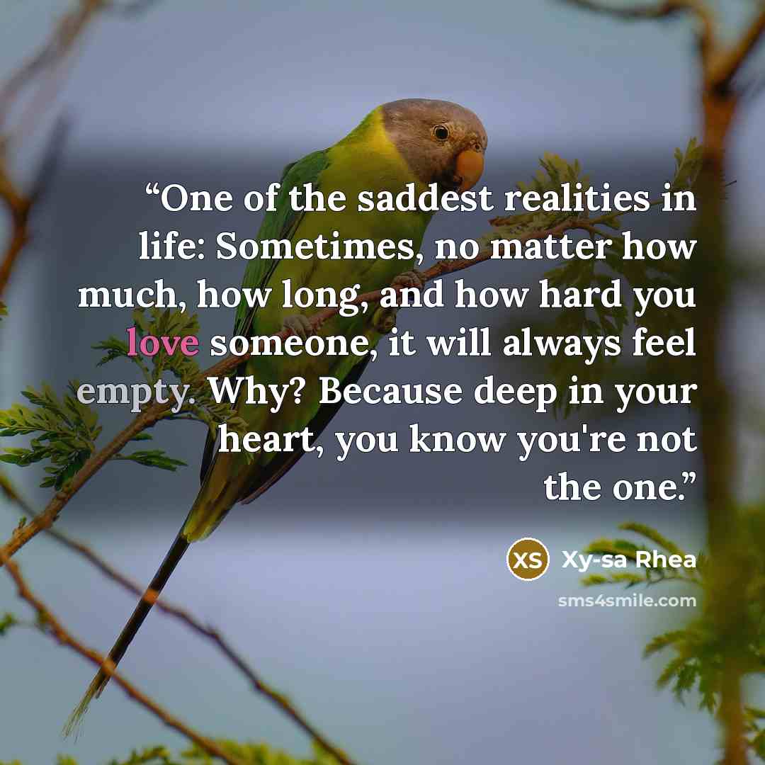 “One of the saddest realities in life: Sometimes, no matter how much, how long, and how hard you love someone, it will always feel empty. Why? Because deep in your heart, you know you're not the one.” quote by Xy-sa Rhea