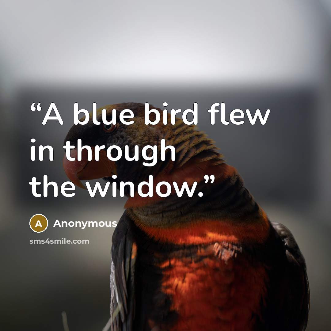 “A blue bird flew in through the window.” quote by Anonymous