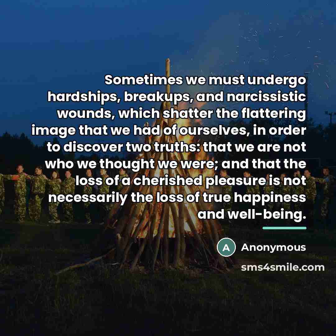 “Sometimes we must undergo hardships, breakups, and narcissistic wounds, which…” quote by Anonymous
