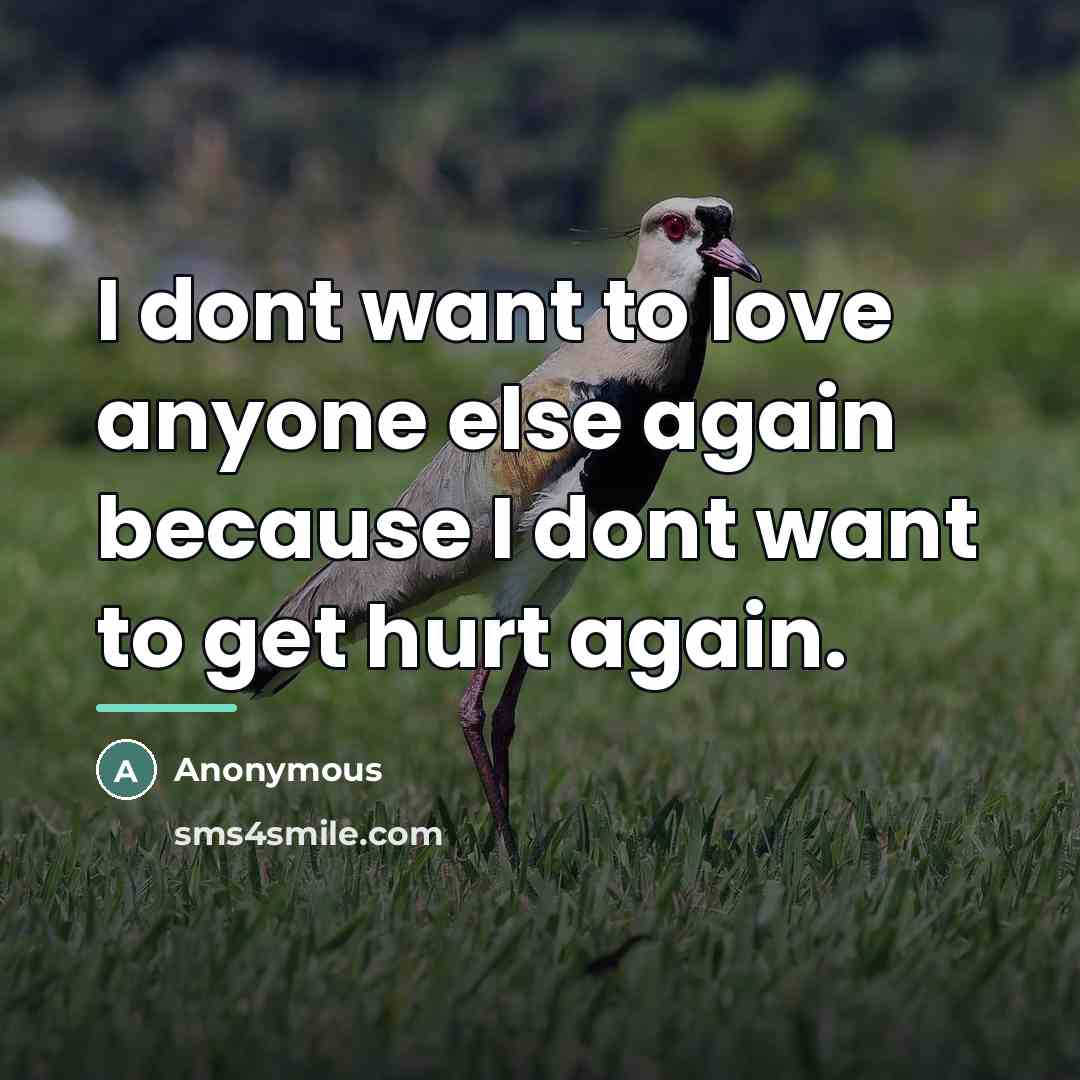 “I dont want to love anyone else again because I…” quote by Anonymous