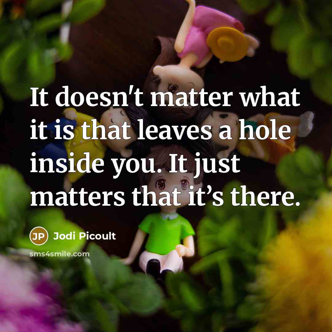 “It doesn't matter what it is that leaves a hole…” quote by Jodi Picoult