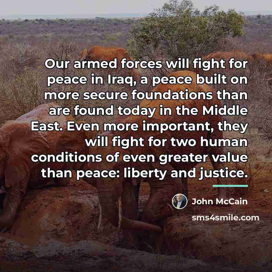 “Our armed forces will fight for peace in Iraq, a…” quote by John McCain