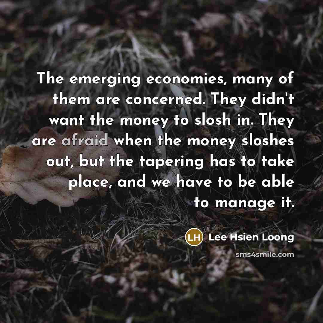 “The emerging economies, many of them are concerned. They didn't…” quote by Lee Hsien Loong