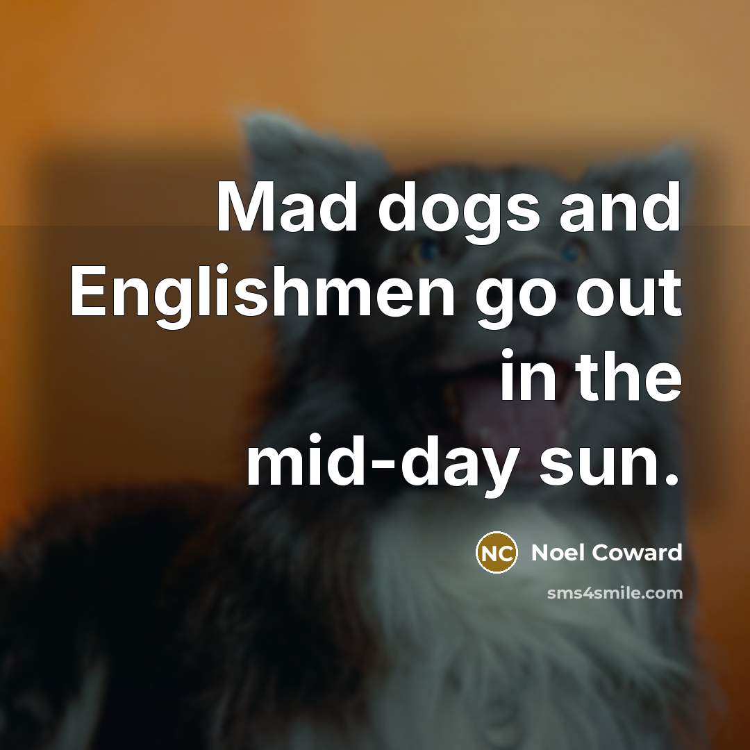 “Mad dogs and Englishmen go out in the mid-day sun.…” quote by Noel Coward
